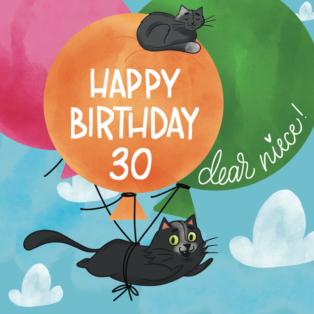 Flying Black Cat Happy 30th Birthday Niece