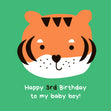 Cute Little Tiger Happy 3rd Birthday Boy
