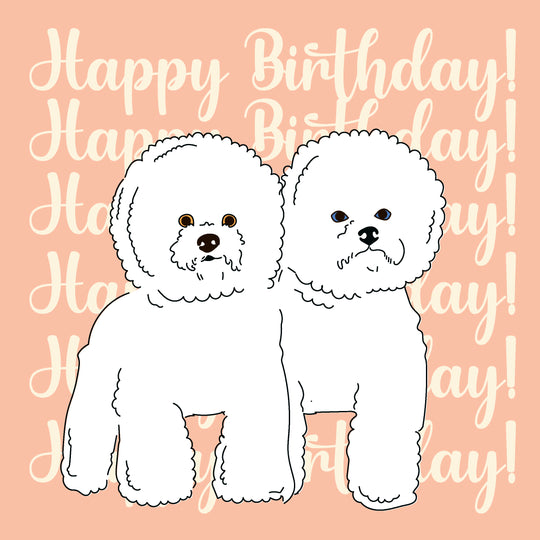 Pink Background Bichon Frise Happy Birthday
