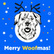 Blue Themed Border Terrier Merry Woofmas Card