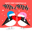 Merry First Christmas As Mr. And Mrs. Lovely Robins Card Season_Christmas Seo_First Seo_For Just Married Seo_Robin