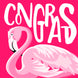 Congrats Flamingo