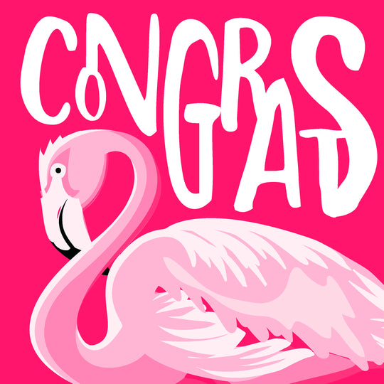 Congrats Flamingo