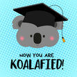 Now You Are Koalafied