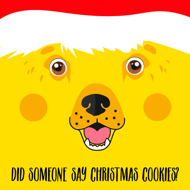 Did Someone Say Christmas Cookies? Funny Labrador Card Season_Christmas Seo_Labrador