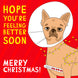 Merry Christmas Hope You're Feeling Better Soon Funny Chihuahua Card