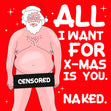 All I Want For Christmas Is You Naked Santa Card Season_Christmas Style_Rude SYSTEM_Rude Style_Funny