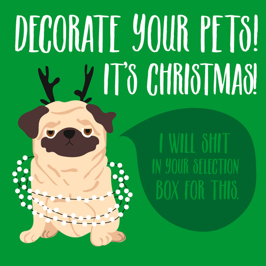 It's Christmas! Decorate Your Pets Annoyed Pug Card