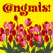 Yellow Background Tulips Congrats