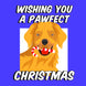 Wishing You A Pawfect Christmas Golden Retriever With Candy Cane Card