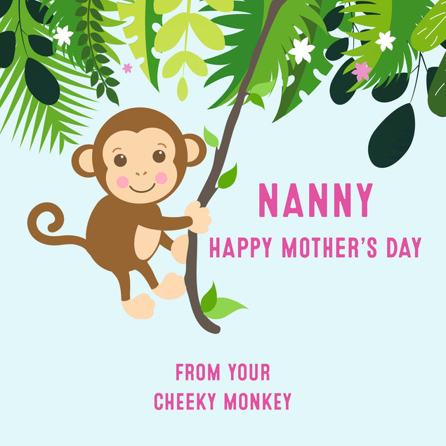 Nanny Happy Mothers Day Card