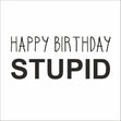 Happy Birthday Stupid - 1