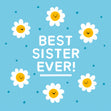 Best Sister Ever Birthday - 1