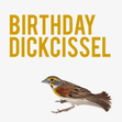 Rude Bird Birthday Dickcissel  - 1