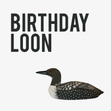 Rude Bird Birthday Loon - 1
