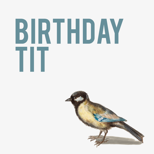 Rude Bird Birthday Tit Card