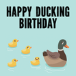 Rude Happy Ducking Birthday - 1