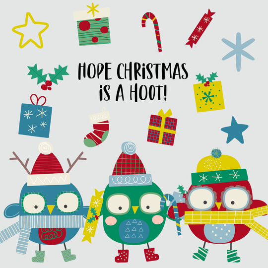 Hope Christmas Is A Hoot Owl Christmas Card