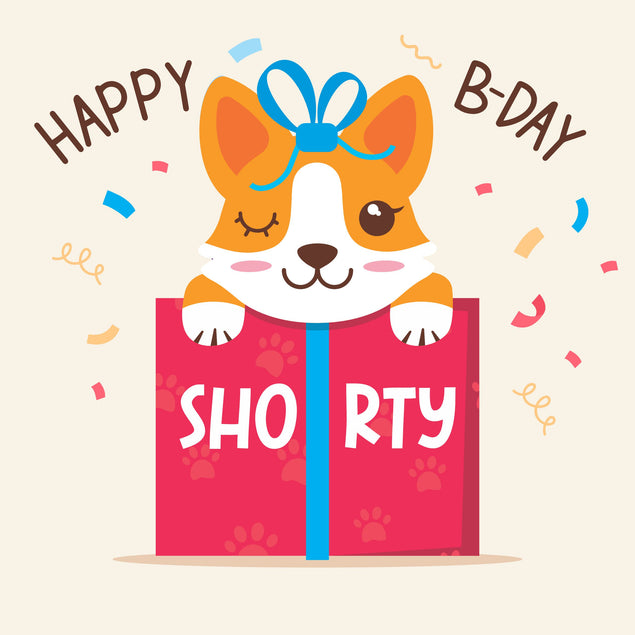 Cute Corgi Happy Birthday Shorty Card Seo_Corgi