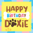 Happy Birthday Doxie Bone And Paw