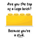 Are You The Top Of A Lego Brick? Card