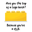 Are You The Top Of A Lego Brick? Card