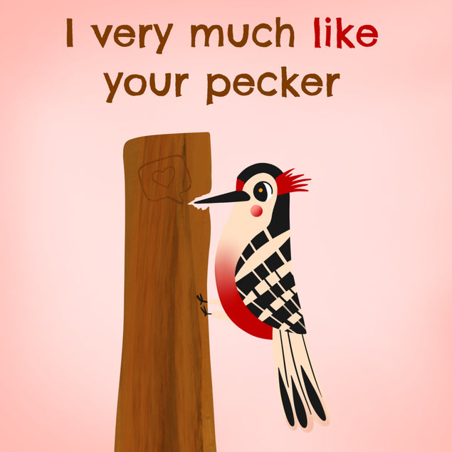 I Like Your Pecker - Rude - Woodpecker - Bird Pun - Anniversary and Valentines Card - 1