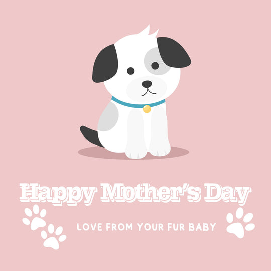 Love From Your Fur Baby Card
