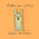 Happy Birthday Another Year... LLMAO Card