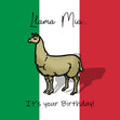 It's Your Birthday Llama Mia Card Occasion_Birthday Seo_Llama