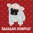 Christmas Bah Humbug Pug Dog - 1