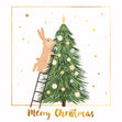 Merry Christmas Cute Rabit Decorating Christmas Tree