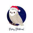 Merry Christmas A Cute Owl Wearing A Hat