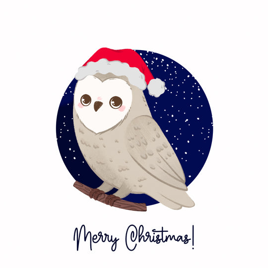 Merry Christmas A Cute Owl Wearing A Hat