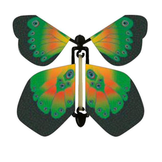 Green And Yellow Butterfly