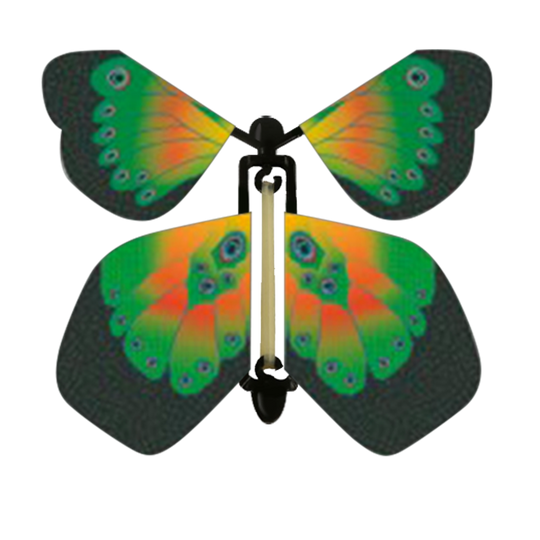 Green And Yellow Butterfly