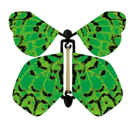 Green Butterfly