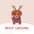 Merry Christmas From Dachshund Card