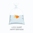 Lifes short, happy birthday - Goldfish - 1