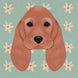 Spaniel Dog Card