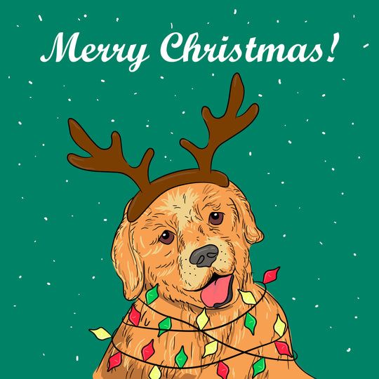Golden Retriever Merry Christmas Card
