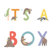 It's A Boy Animal Alphabet Card - 1