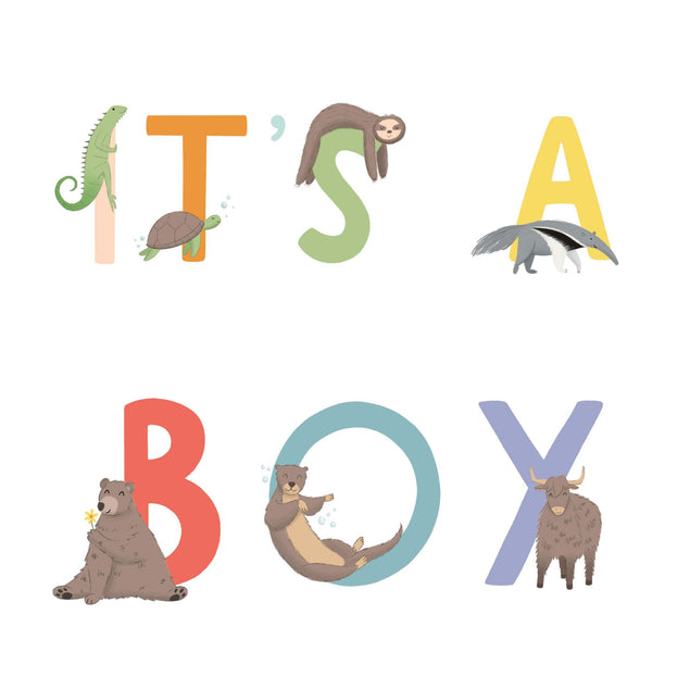 It's A Boy Animal Alphabet Card - 1