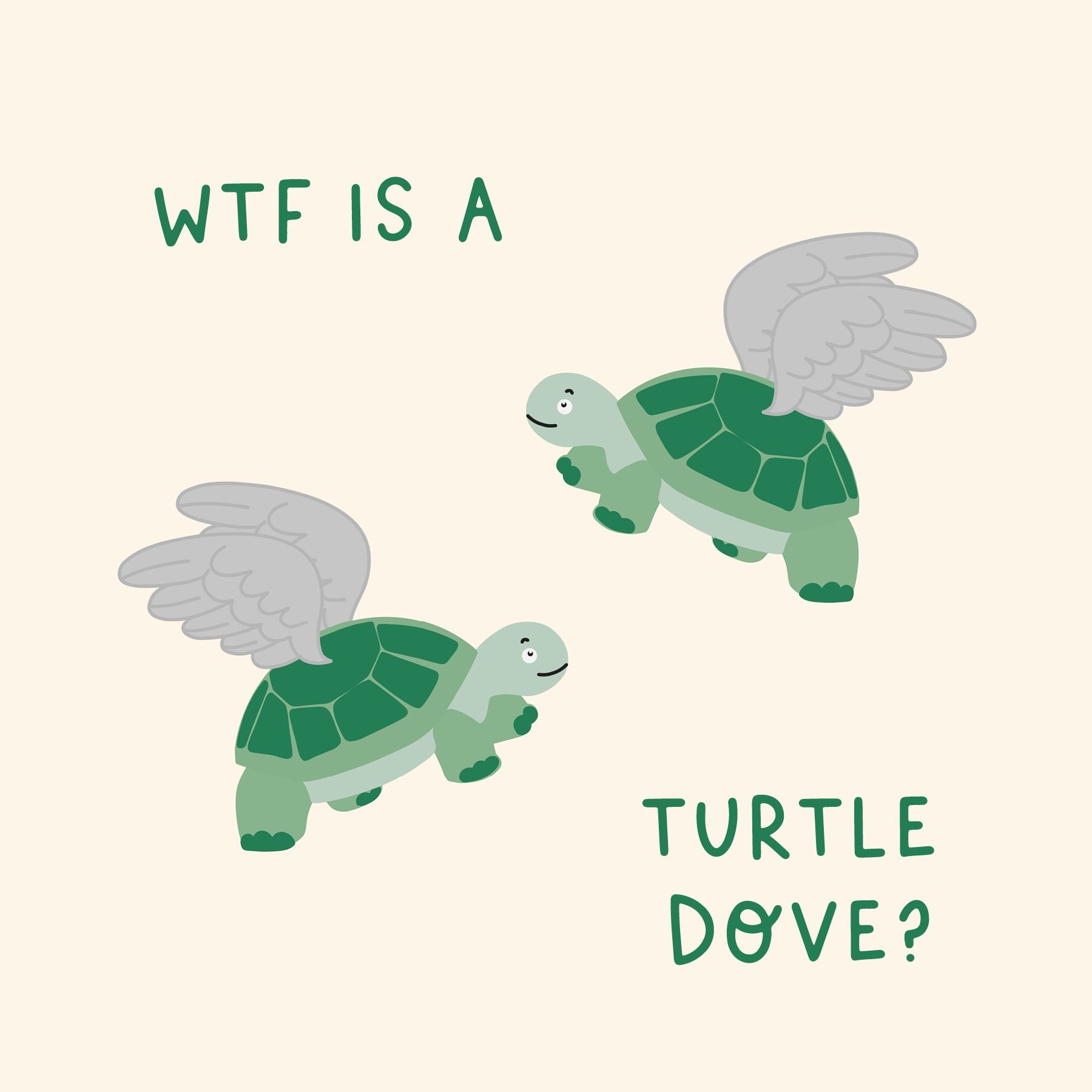 WTF Is A Turtle Dove Christmas Card – Boomf
