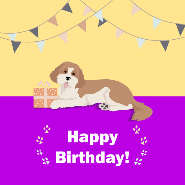 Cute Cavapoo With Gift Happy Birthday Card Seo_Cavapoo