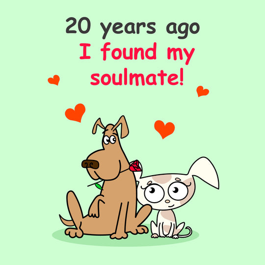 My Soulmate Happy 20th Wedding Anniversary Card