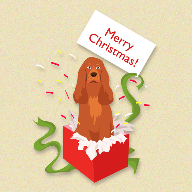 Merry Christmas Cocker Spaniel In A Gift Box Card Season_Christmas Seo_Cocker Spaniel
