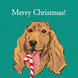 Merry Christmas Cocker Spaniel Licking Candy Cane Card