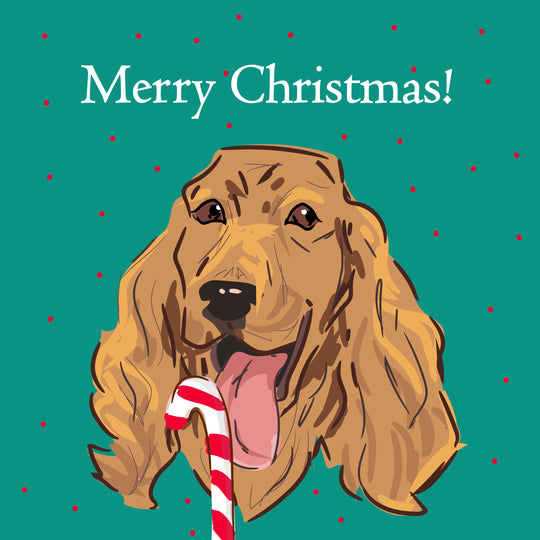 Merry Christmas Cocker Spaniel Licking Candy Cane Card