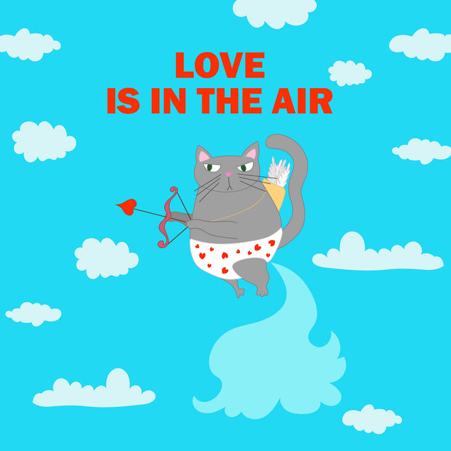 Love Is In The Air Funny Cupid Cat Valentine's Day Card Season_Valentine’s Day Theme_Cat Style_Funny